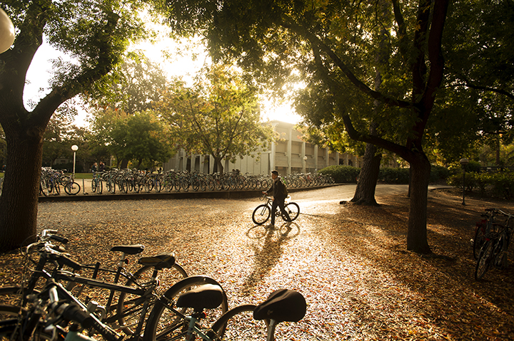 Fall scene on campus with a student and bicycle