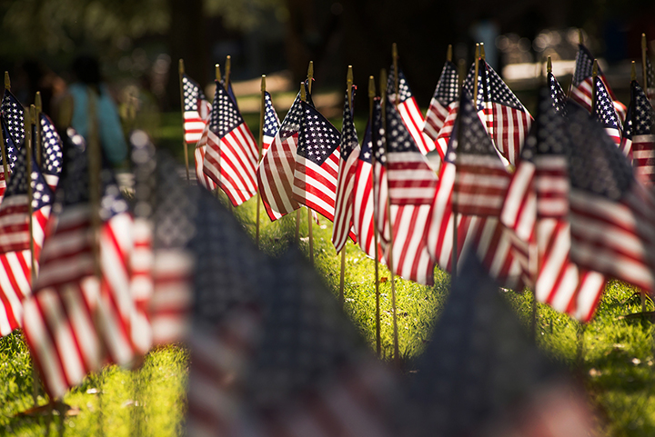 Rows of American flags blow in the wind while on display on on the lawn in the quad.