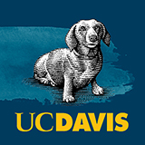 Black and white illustration of a daschund sitting and looking up, on a blue background with blue watercolor strokes. A gold UC Davis logo is underneath the dog.