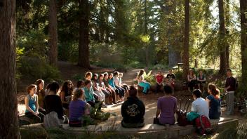 Gathering in Redwood Grove
