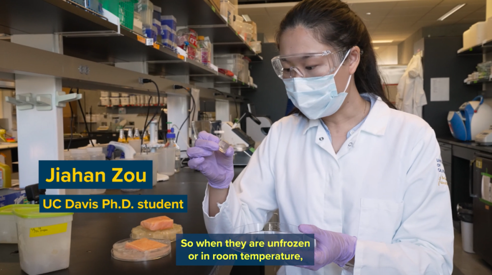 a woman in a lab holds an ice cube